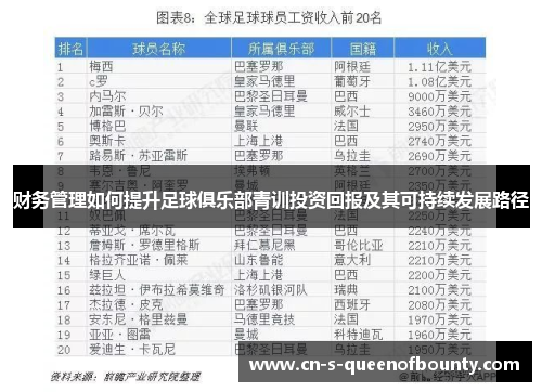财务管理如何提升足球俱乐部青训投资回报及其可持续发展路径 财务管理如何提升足球俱乐部青训投资回报及其可持续发展路径