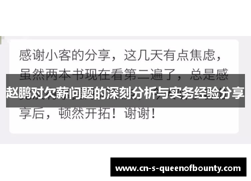 赵鹏对欠薪问题的深刻分析与实务经验分享
